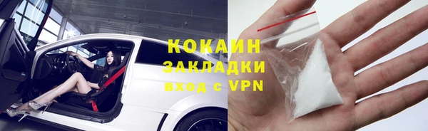 дживик Богородицк