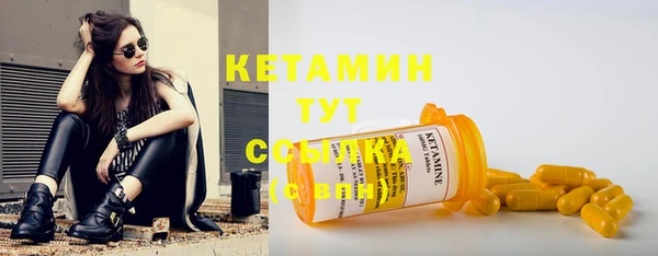 дживик Богородицк