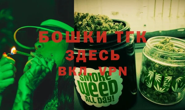 дживик Богородицк