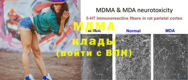 дживик Богородицк