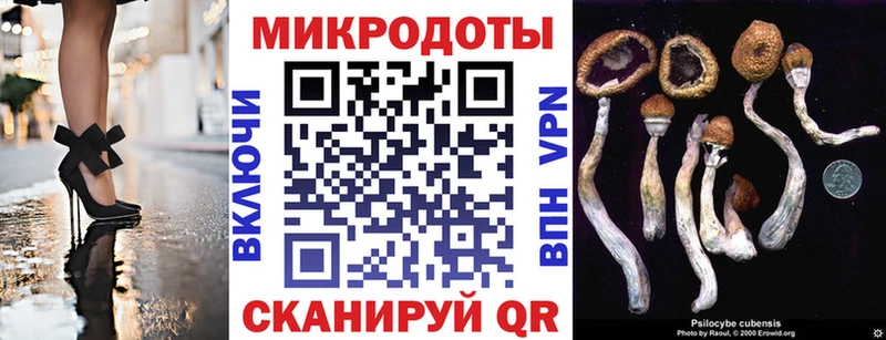 наркошоп  Красновишерск  Псилоцибиновые грибы прущие грибы 